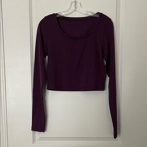 Women's Deep Purple Long Sleeve Workout Crop Top
